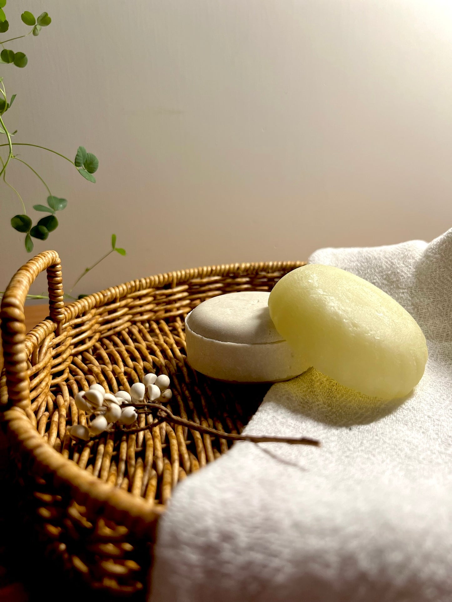 Rosewood + White Tea | Conditioner Bar | All Hair Types
