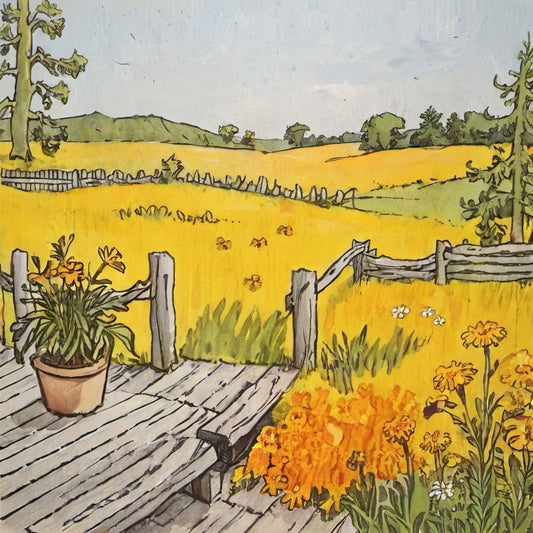 The Magic of Calendula