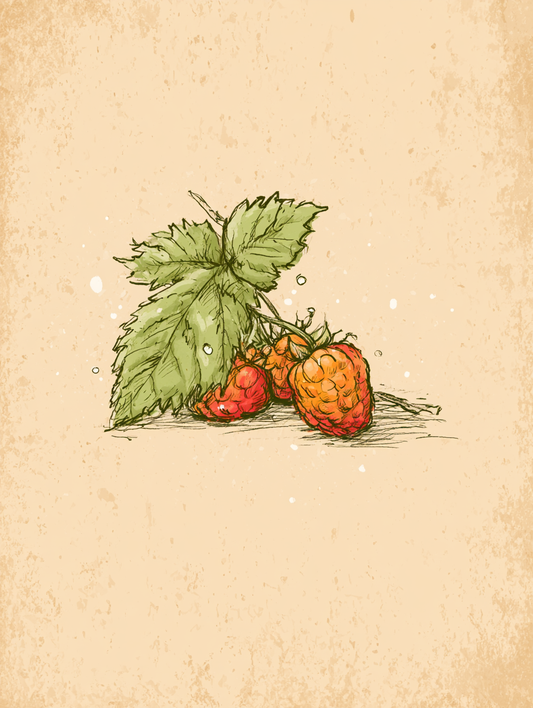 The Magic of Raspberry