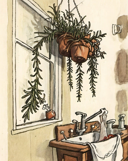 The Magic of Rosemary